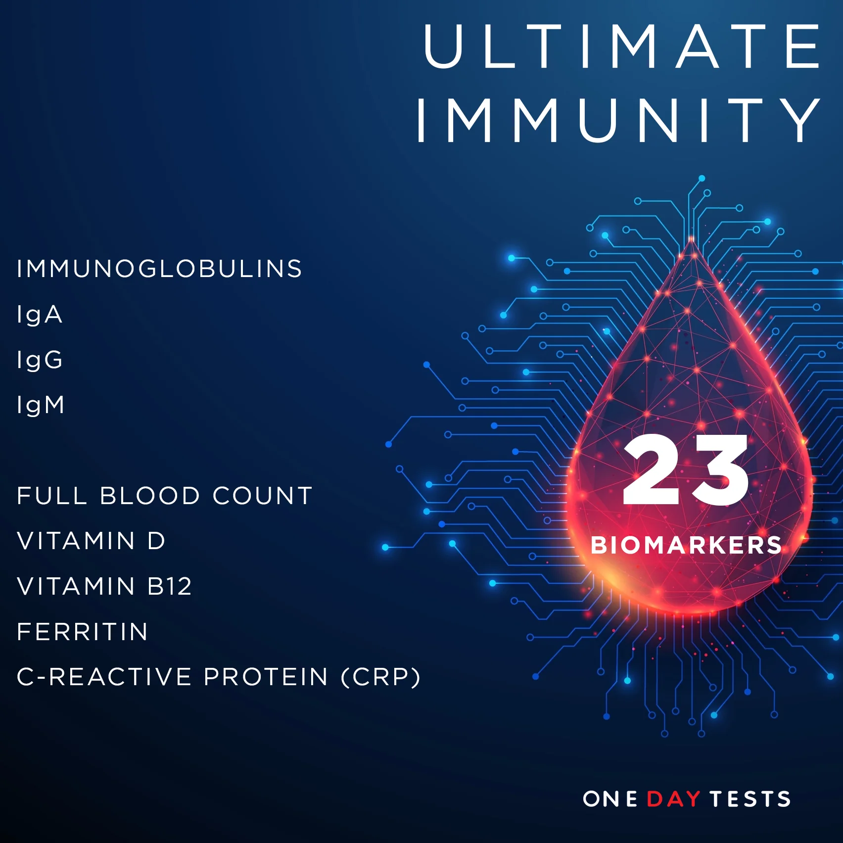 Blood Tests for Middle-Aged Men